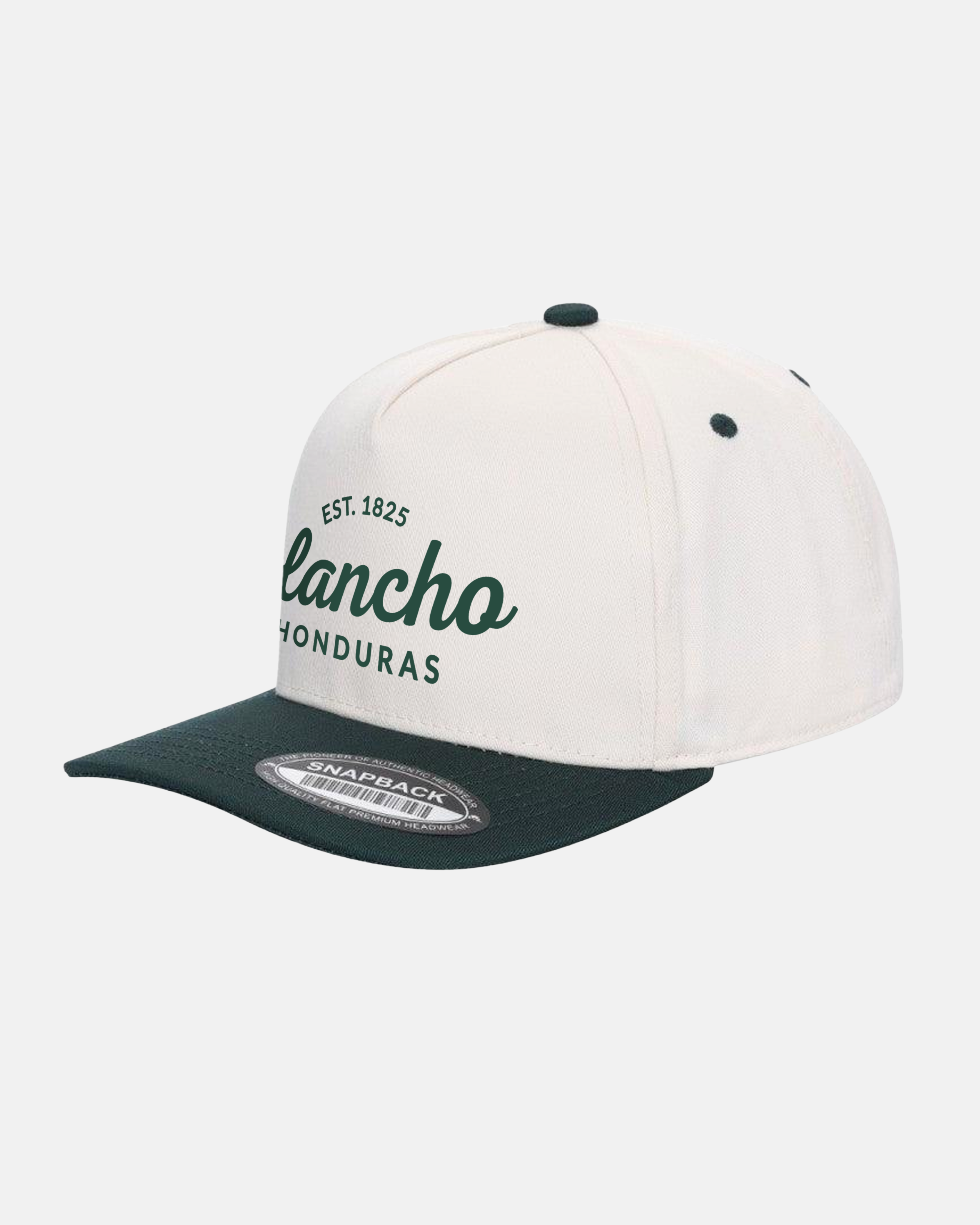 Gorra bicolor