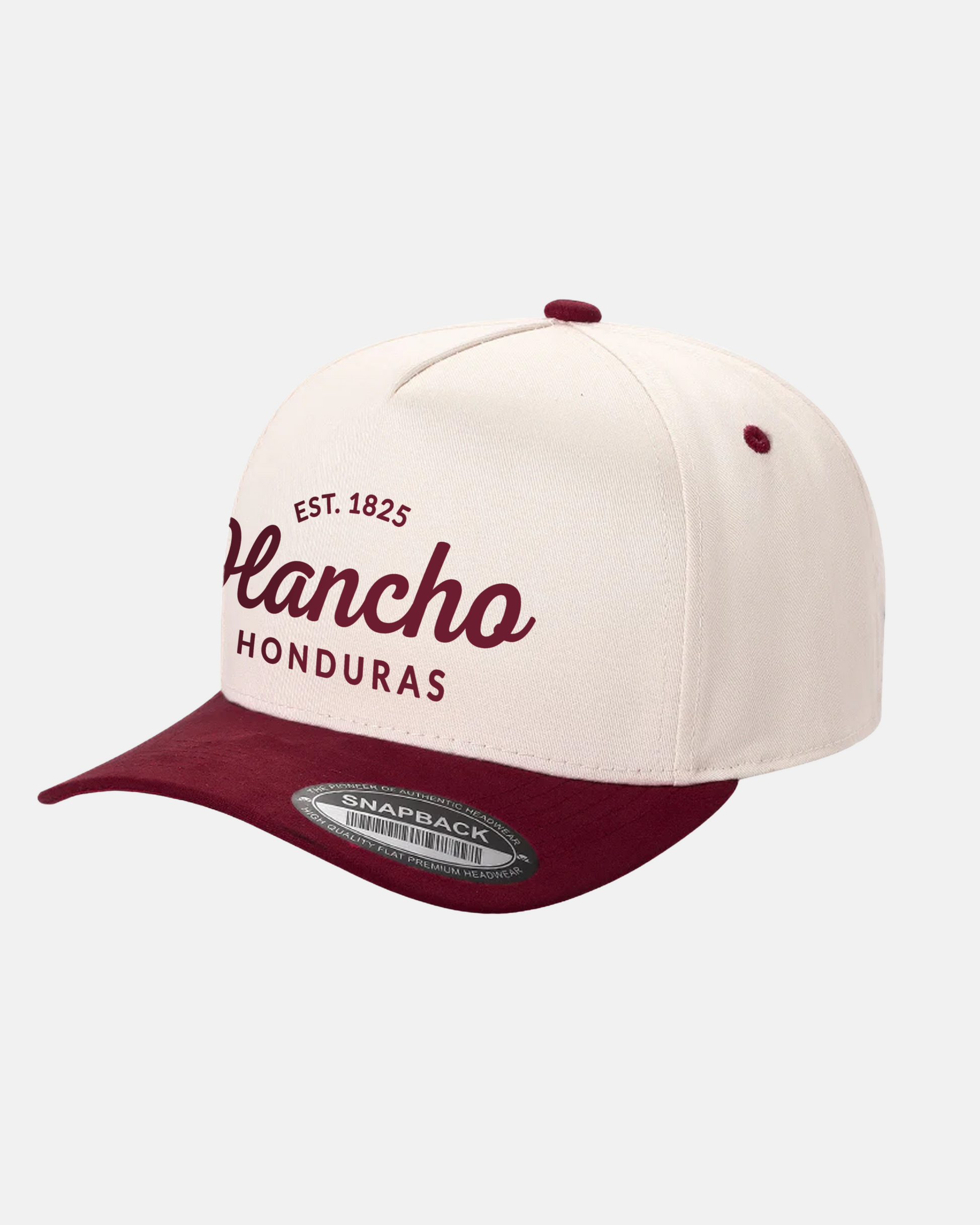 Gorra bicolor